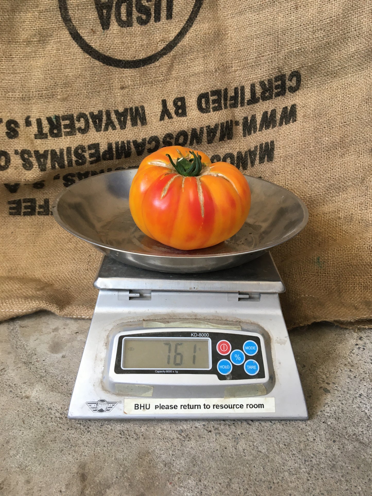 Tomatoes: Heirloom Beefsteak