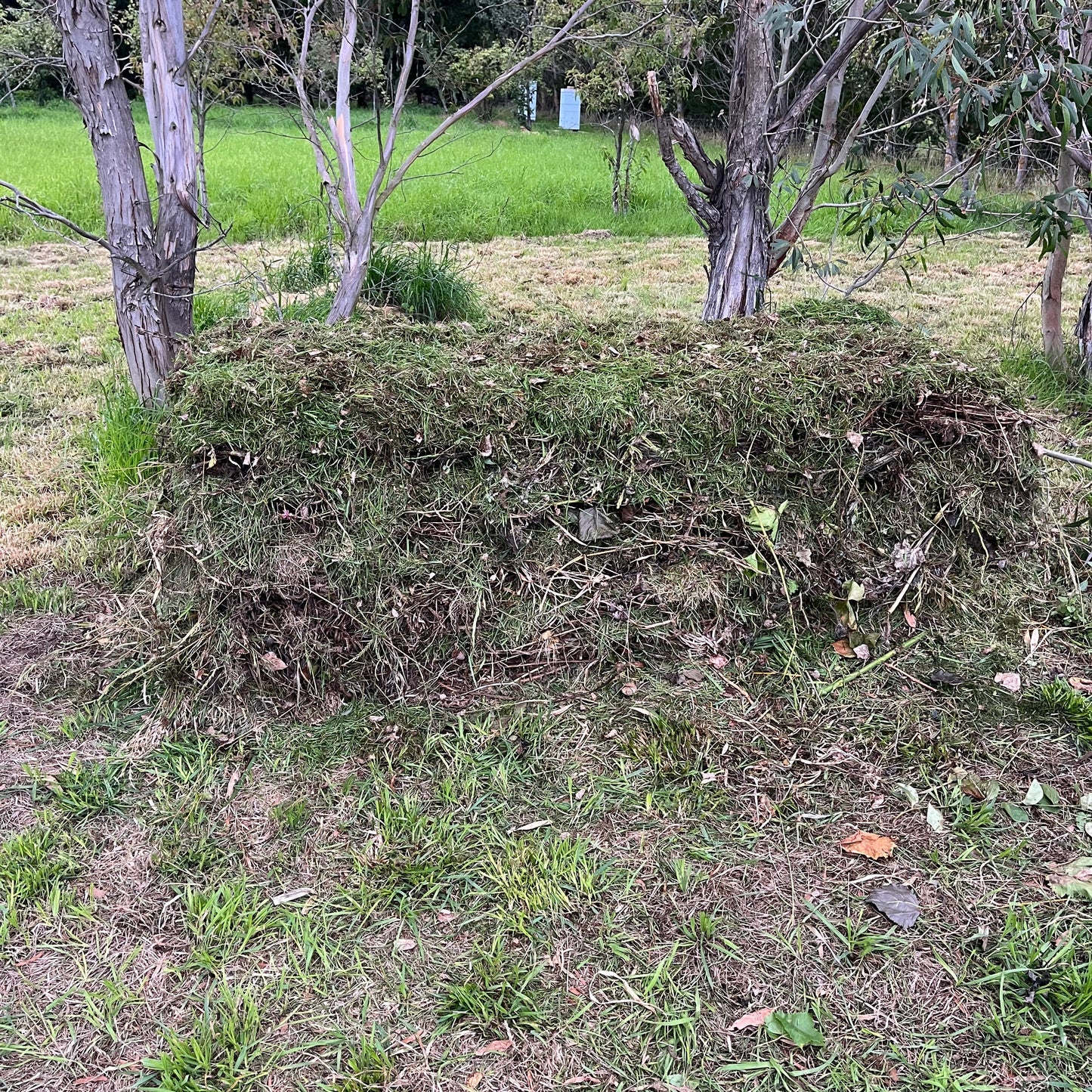 Workshop: Hot Compost Making for a Thriving Soil Foodweb