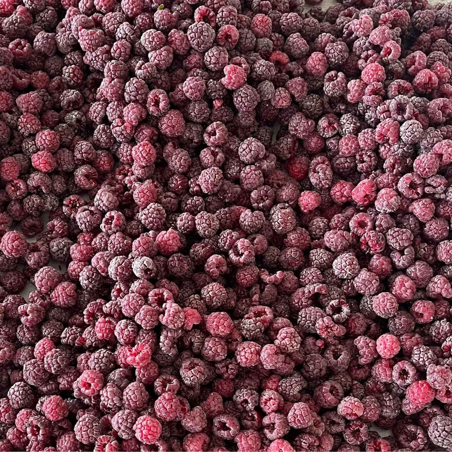 Raspberries: Dark Red