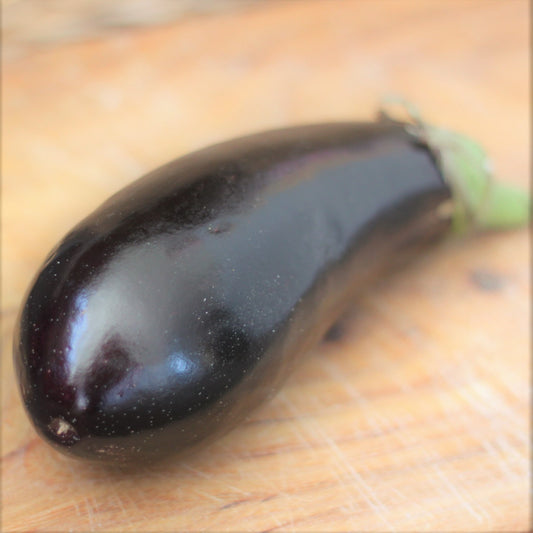 Eggplant