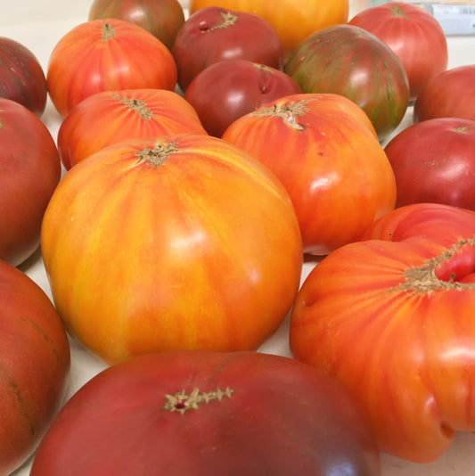 Tomatoes: Heirloom Beefsteak