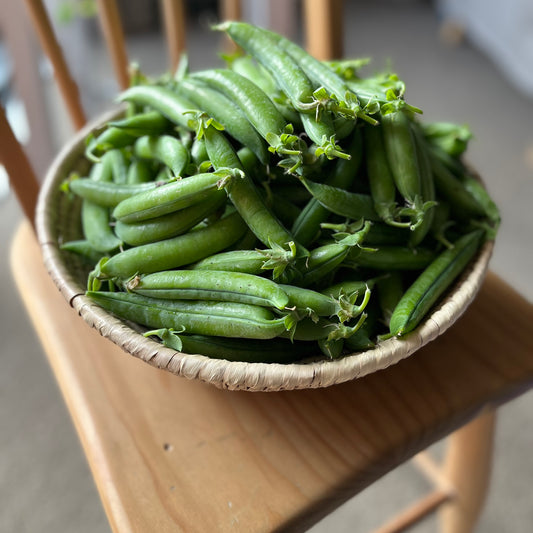 Peas: Sugar Snap