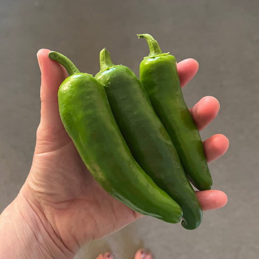 Pepper: Jalapeno