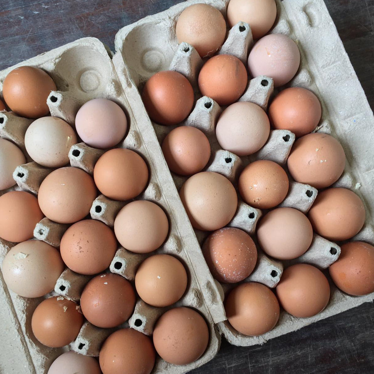 Pasture Raised Eggs (Mixed Grade)