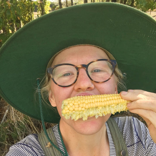 Sweet Corn
