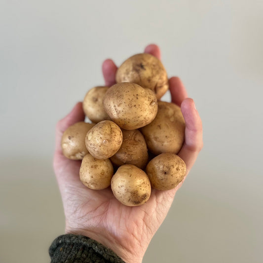 Potatoes: New (Waxy)