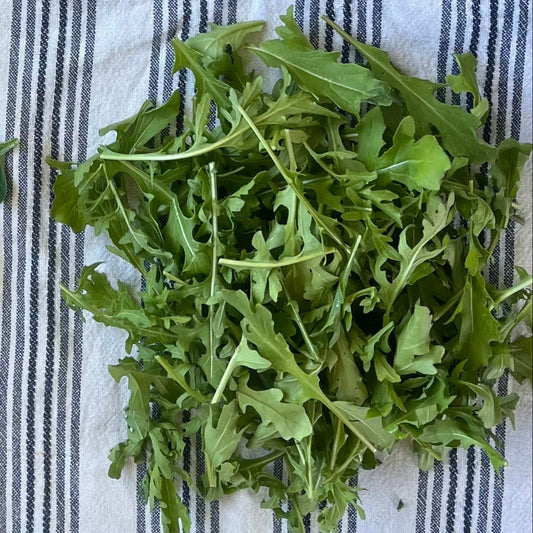 Rocket (Arugula)