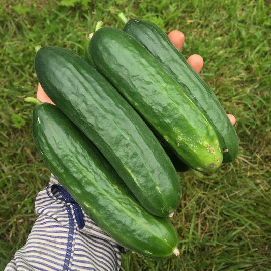 Cucumber: Slicing
