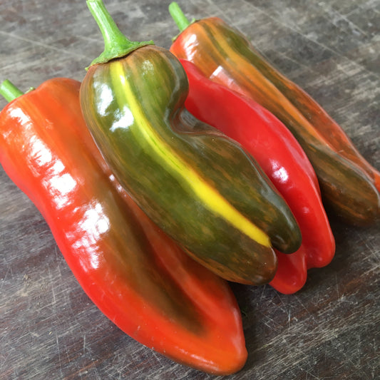 Capsicum: Lunchbox Snackers