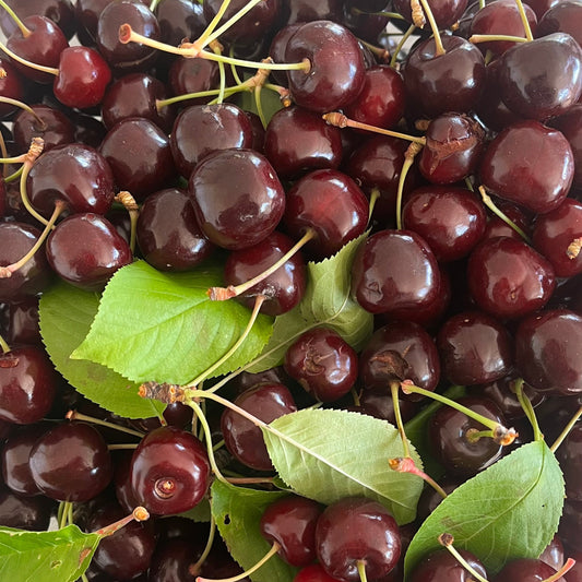 Cherries