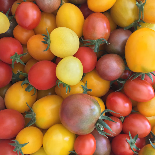 Tomatoes: Cherry