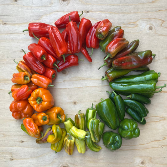 Pepper: Habanero