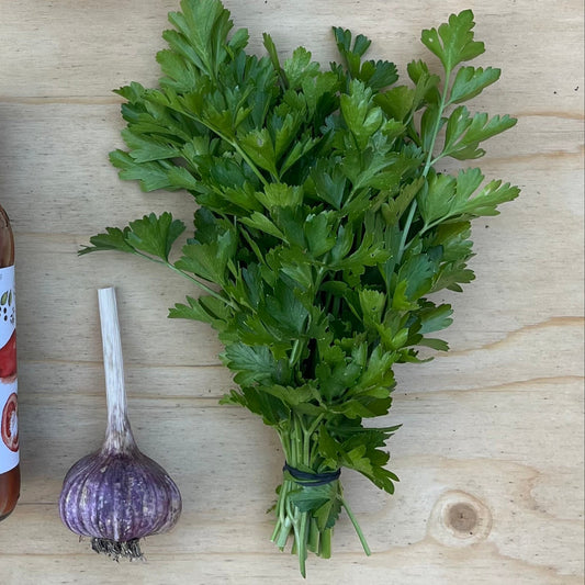 Parsley: Italian (Flat Leaf)