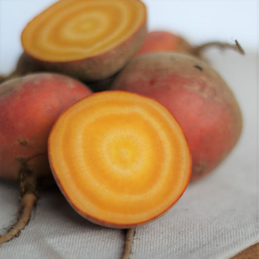Beetroot: Rainbow