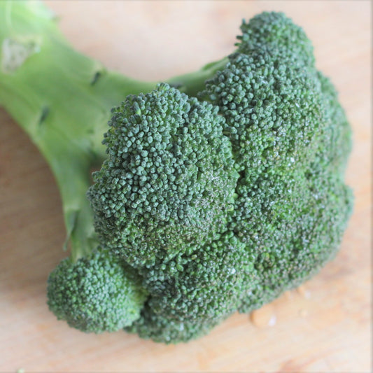 Broccoli