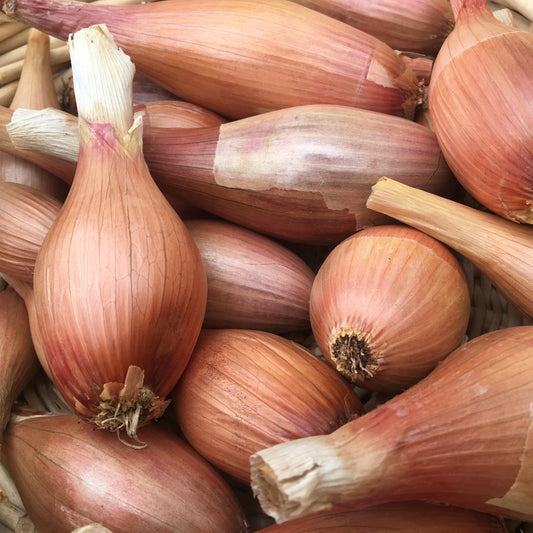 Shallots