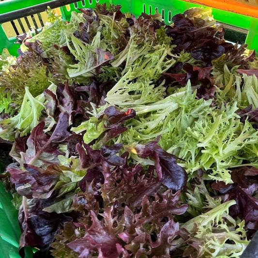 Salad: Kākāriki Super Mix