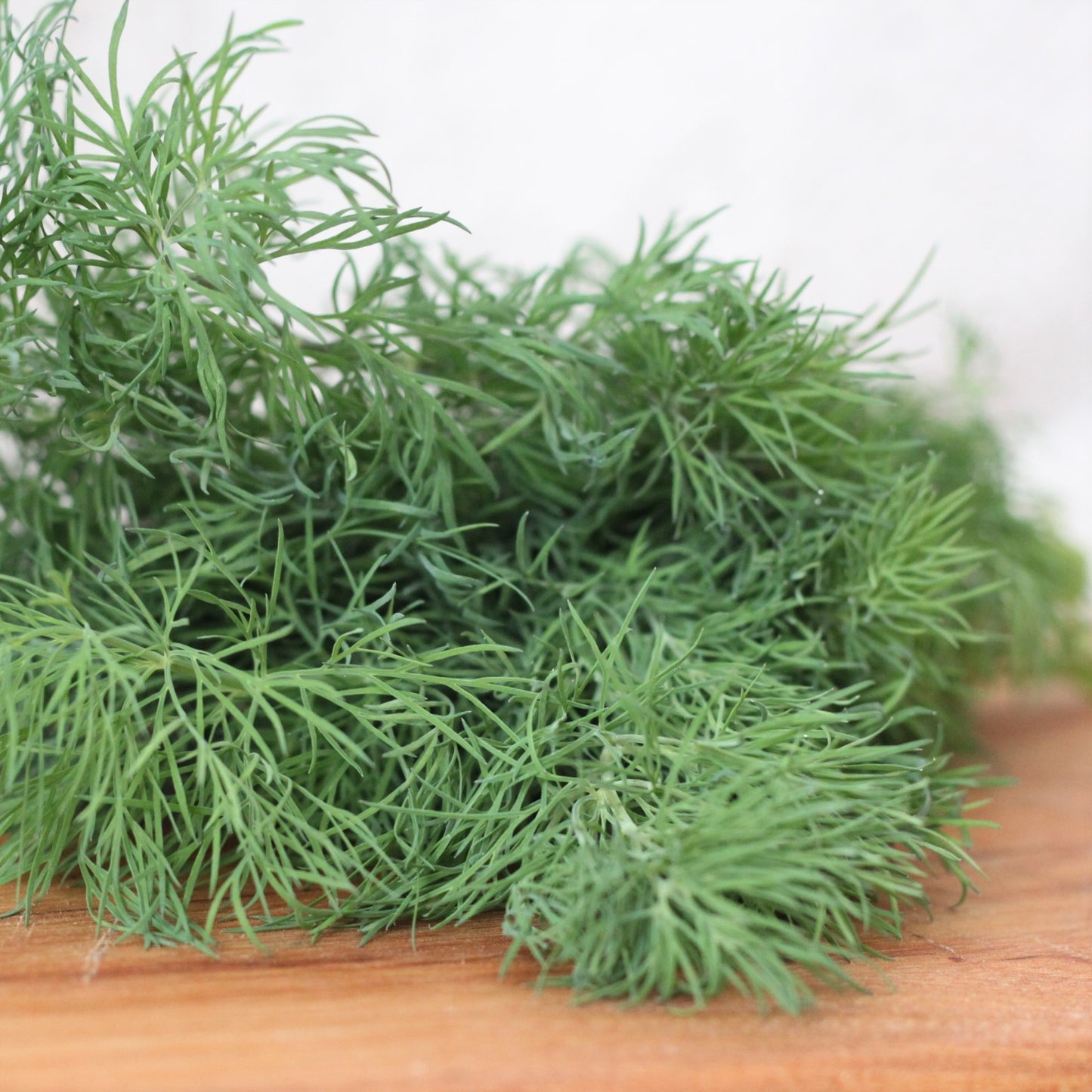 Dill