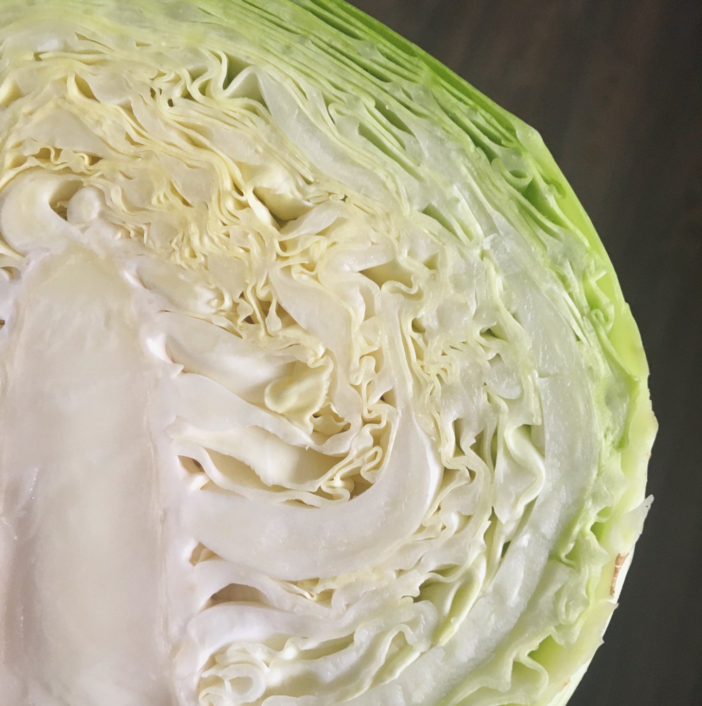 Cabbage: Green