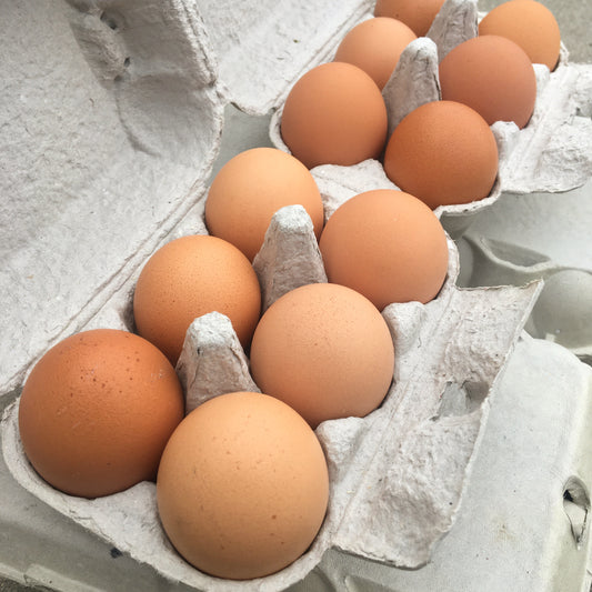 Pasture Raised Eggs (Mixed Grade)