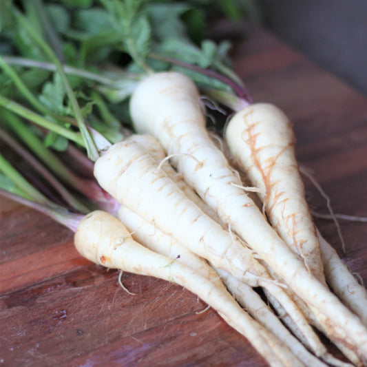 Parsnips