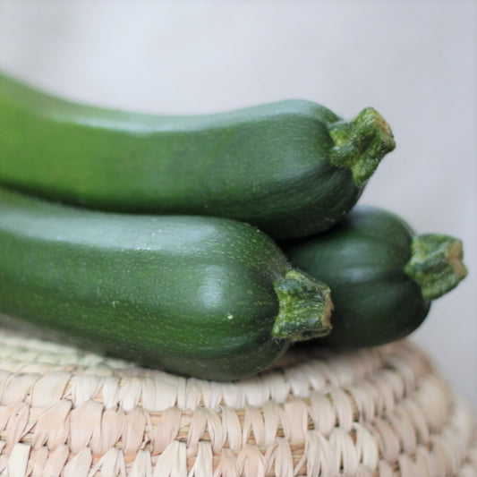Zucchini (Courgette)
